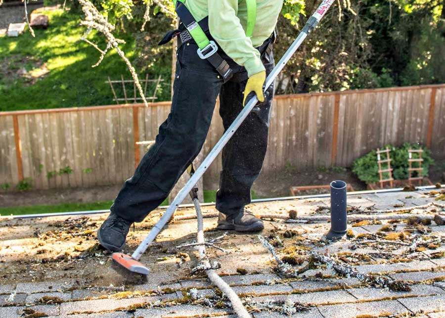 Action Northwest offers moss & roof cleaning