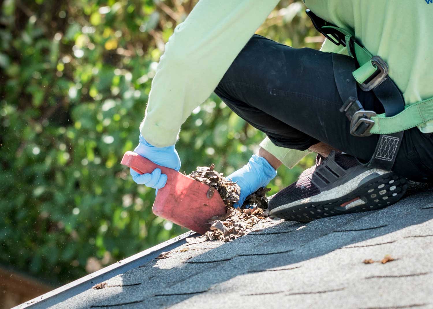 Action Northwest can help you clean your gutters.