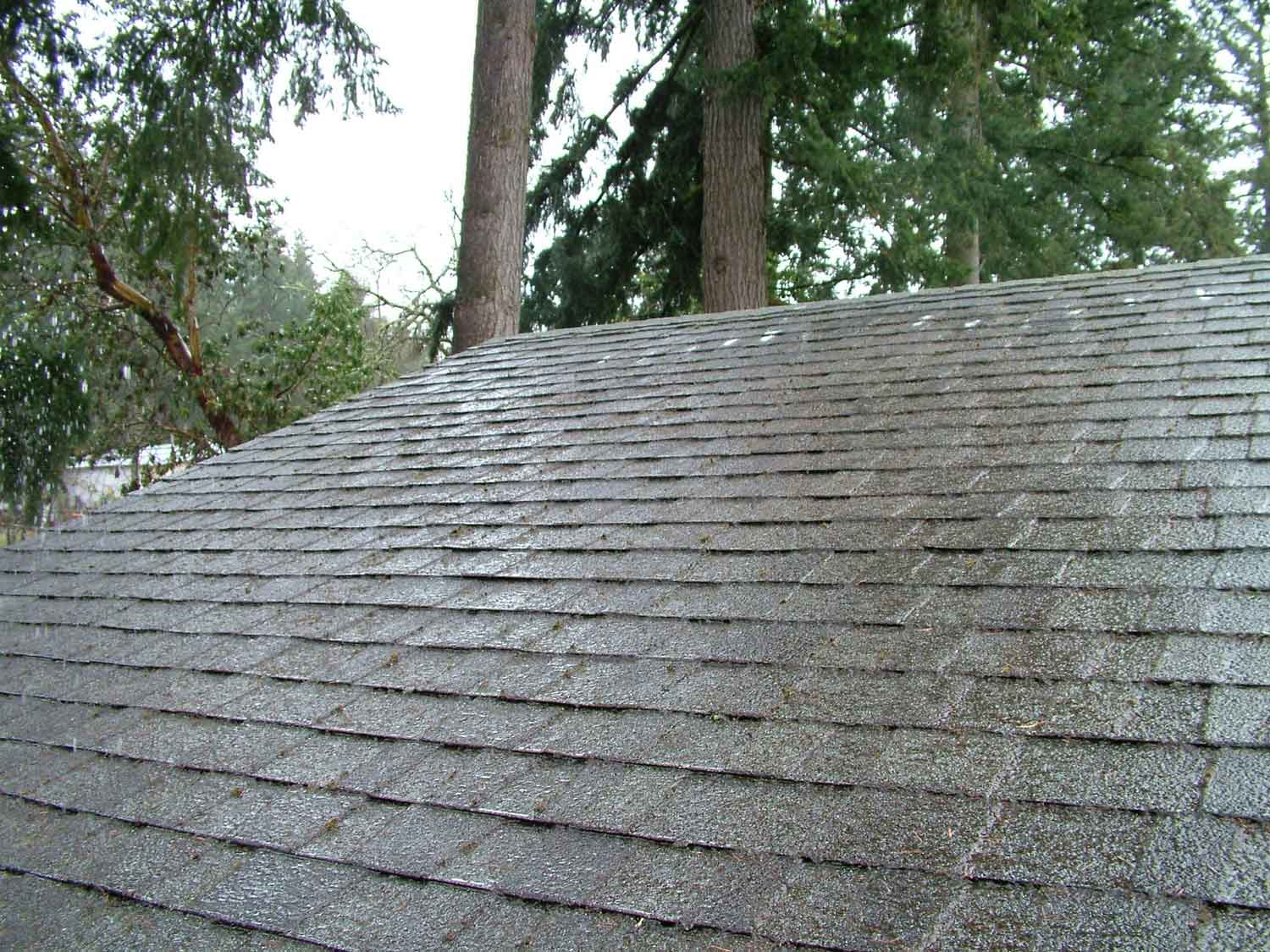 Action Northwest cleans the moss and debris off of your roof