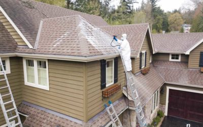 Roof Washing 101–How to Get the Job Done Right