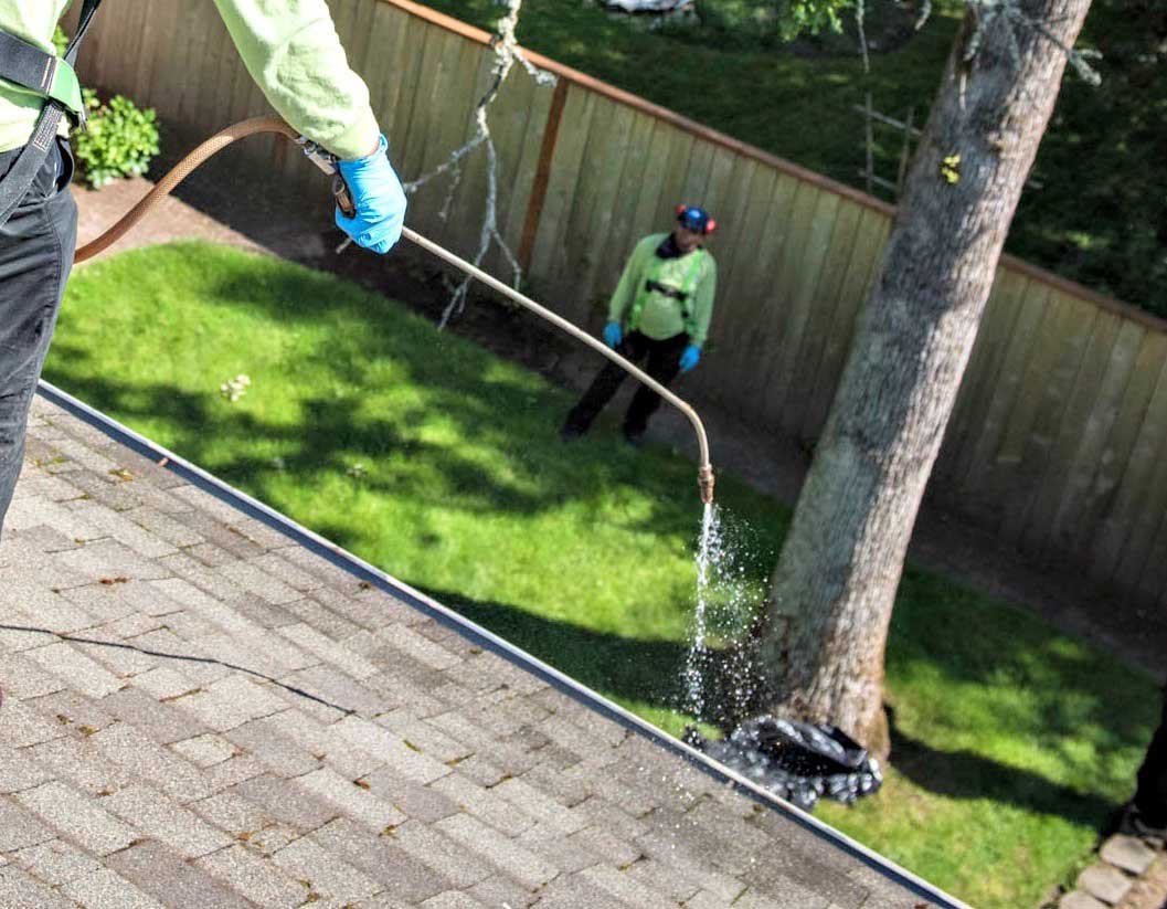 Moss Prevention Treatment Techniques in Portland, OR