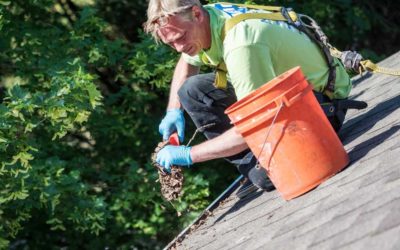 Keeping Gutters Clean Is Essential to Protect Your Home