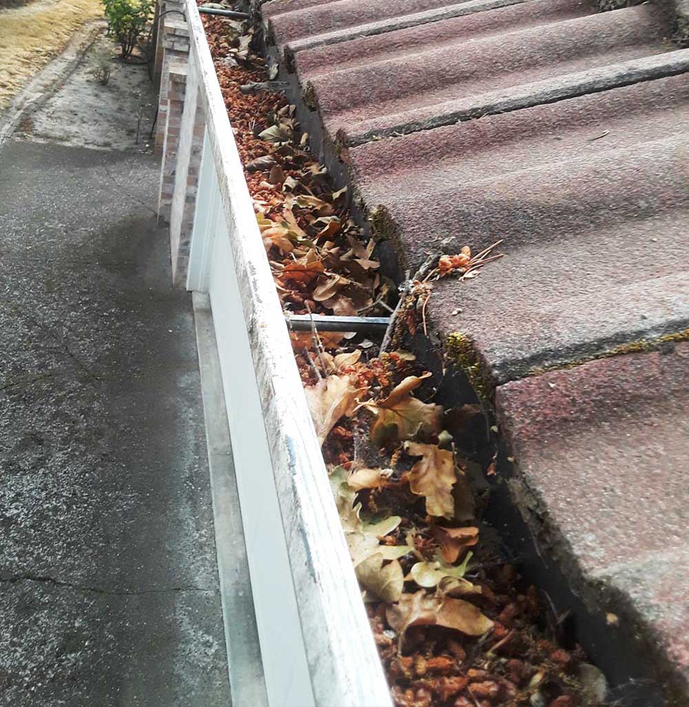 Dirty Portland Oregon Gutters Cause Water Intrusion 